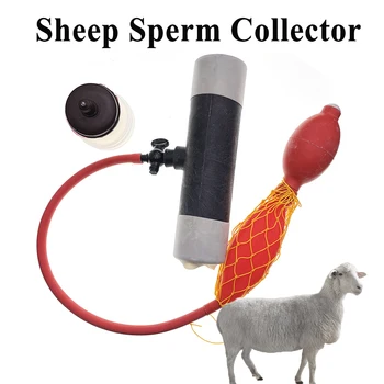 1 комплект, комплект за събиране на сперма овце, колектор сперма кози, изкуствено свиня майка, пластмасов гумена вътрешна тръба, Ветеринарни инструменти за селското стопанство