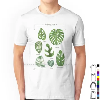 Разновидности на монстеры Илюстрация на Листа Видове листа Тениска от 100% памук Тропически растения Сорт монстеры на закрито